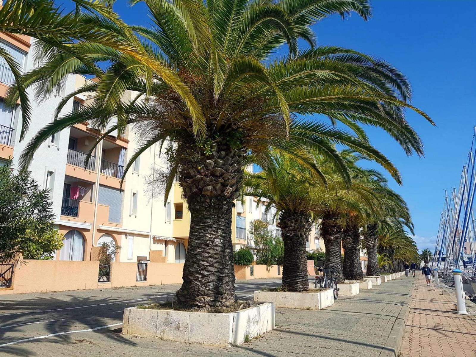 Apartament T2 Sur Le Port Avec Parking Gruissan Zewnętrze zdjęcie